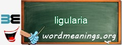 WordMeaning blackboard for ligularia